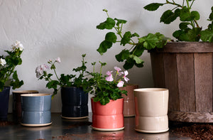 brickett-davda-plant-pots-with-geraniums-march-Default