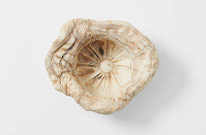 asuman-aktuy-porcelain-hammam-sculpture-1-20859-b