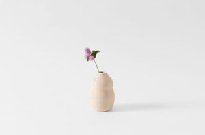 peach vase with single flower 