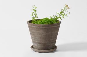 extra-large-grey-herb-pot-saucer-19996-b