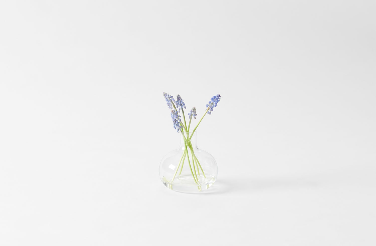 Lobmeyr Ilse Crawford Small Pitcher