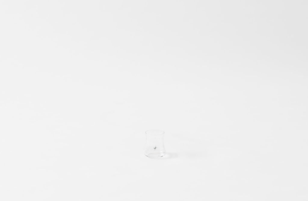 Type::Ant