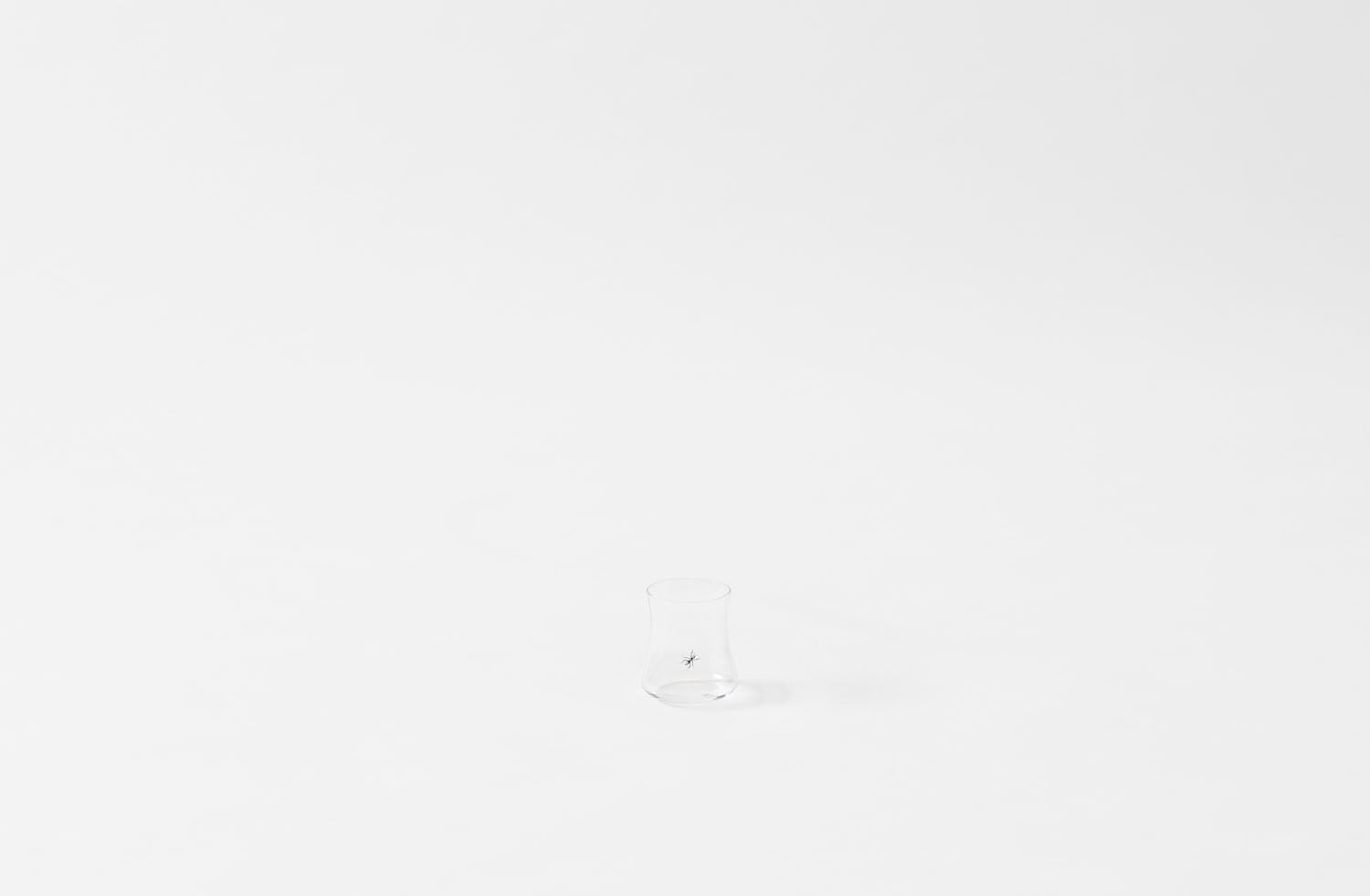 Type::Ant