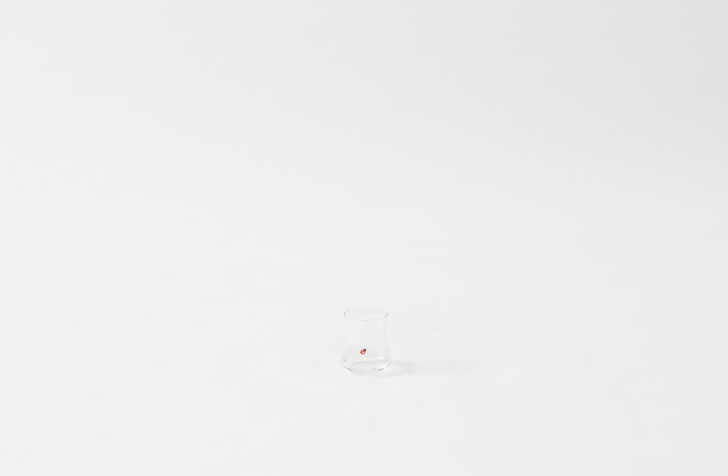 Type::Ladybug