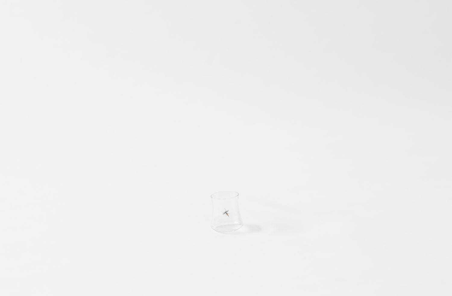 Type::Mosquito