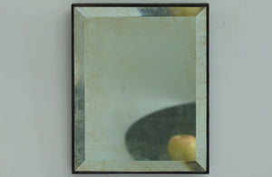 Maureen Fullam small rectangle beveled antique gold mirror with apple reflected inside.