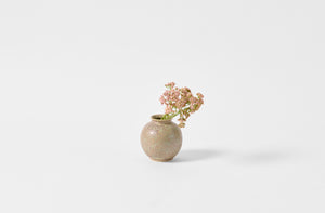 Christiane Perrochon grey green spot petite boule with tiny dusty pink blossoms.