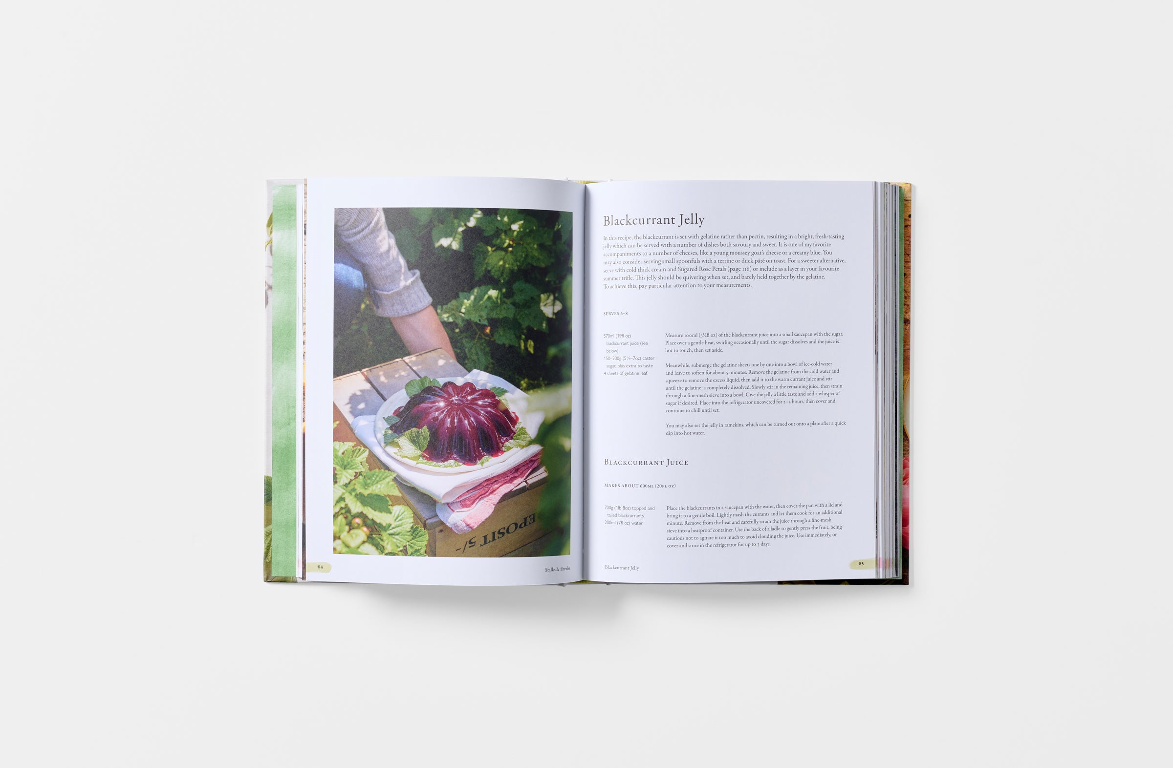 Fruitful book detail.