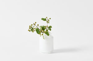 Henry Dean petite white Bern vase with greenery. 