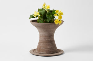 Large grey pedestal pot with pale yellow flowers.