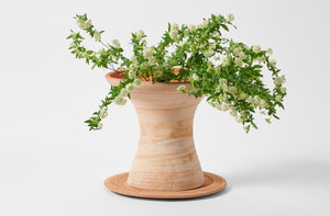 Large terracotta pedestal pot with flowering branches.