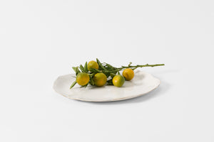 Large white Molosco serving platter with gold rim holding a branch of citrus.