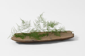 Noa Hanyu beech rectangle tray no. 9 with fern sprig.