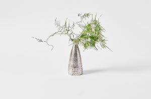 Takashi Endo silver sake bottle with arrangement of fern stems.