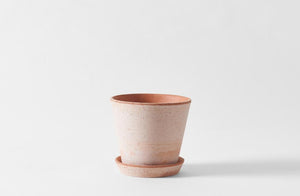 Large Terracotta Herb Pot and Saucer