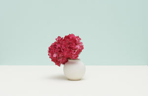 Christiane-perrochon-white-beige-petite-boule-vase-with-fuchia-hydrangeas-against-pale-turquoise-background