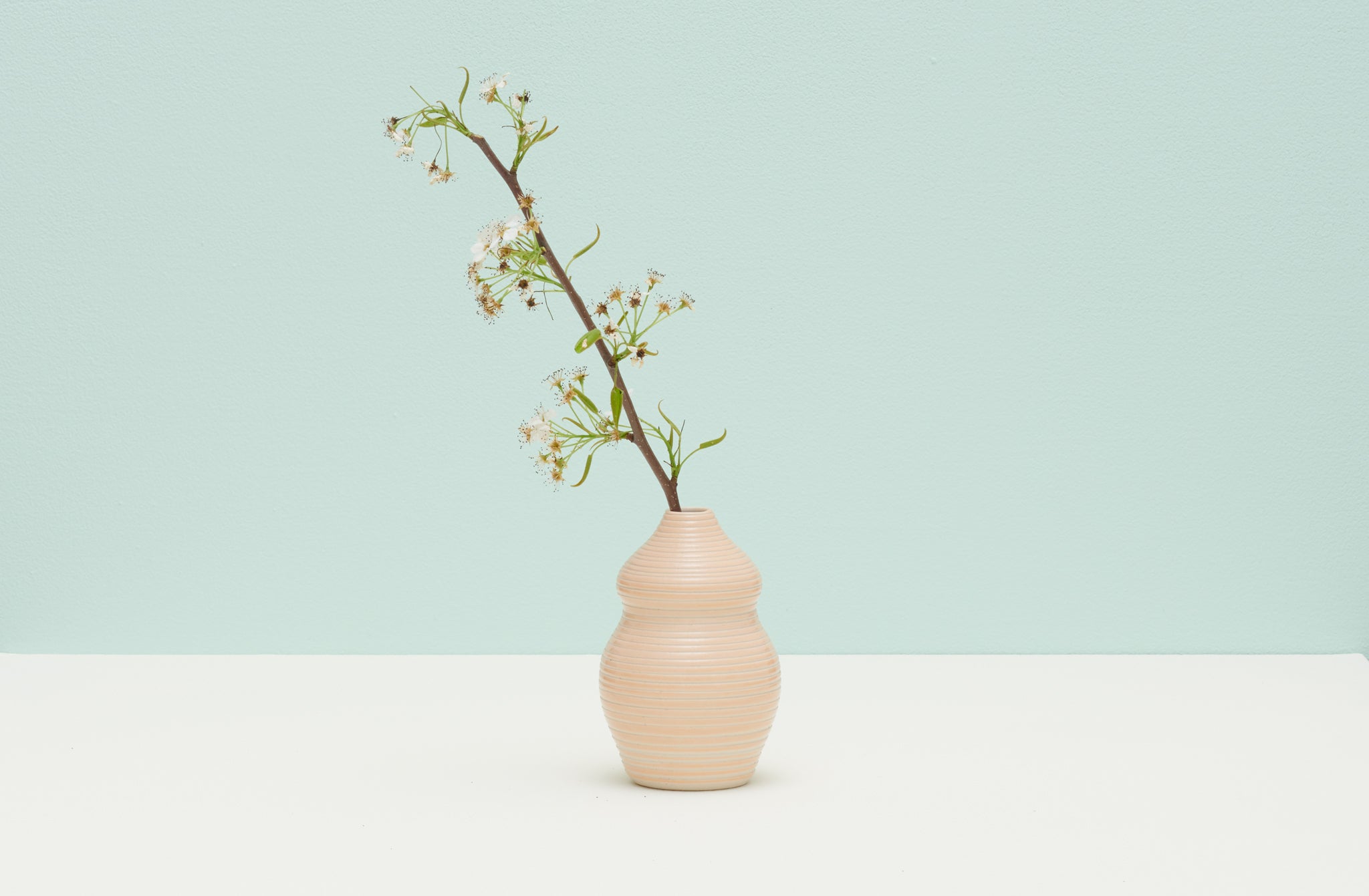 Dana-bechert-small-peach-curvy-vase-with-floral-against-pale-turquoise-background