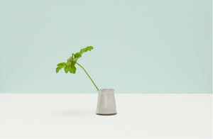 Eric-bonnin-oatmeal-small-ceramic-pitcher-with-geranium-leaf-against-pale-turquoise-background-Default