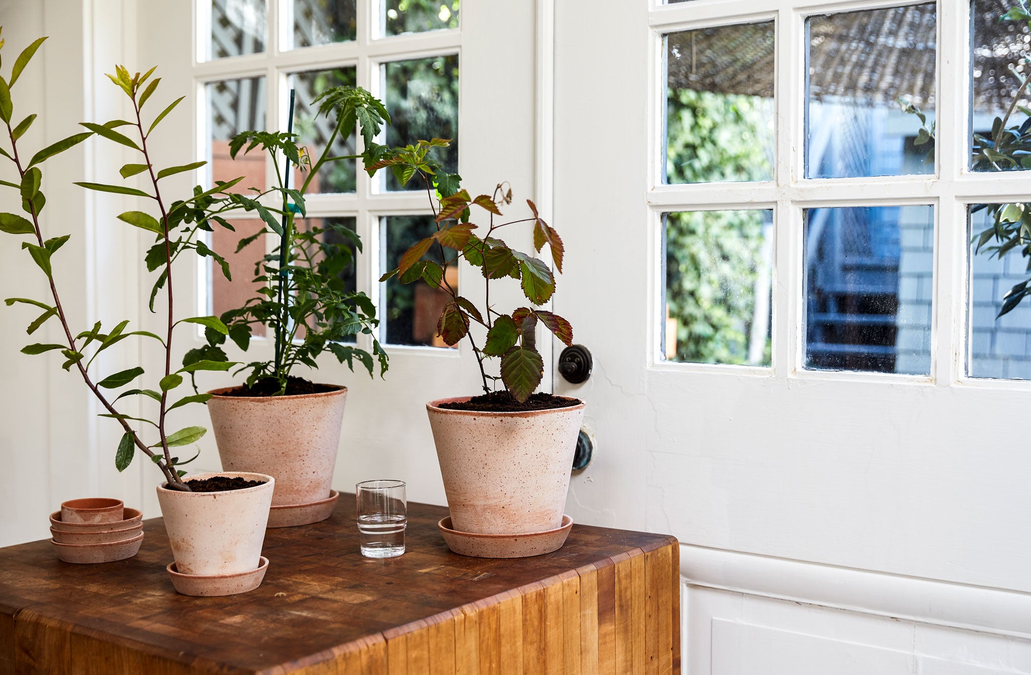 Large Terracotta Herb Pot and Saucer