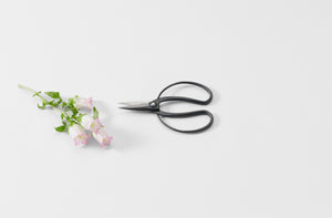 Japanese Floral Scissors