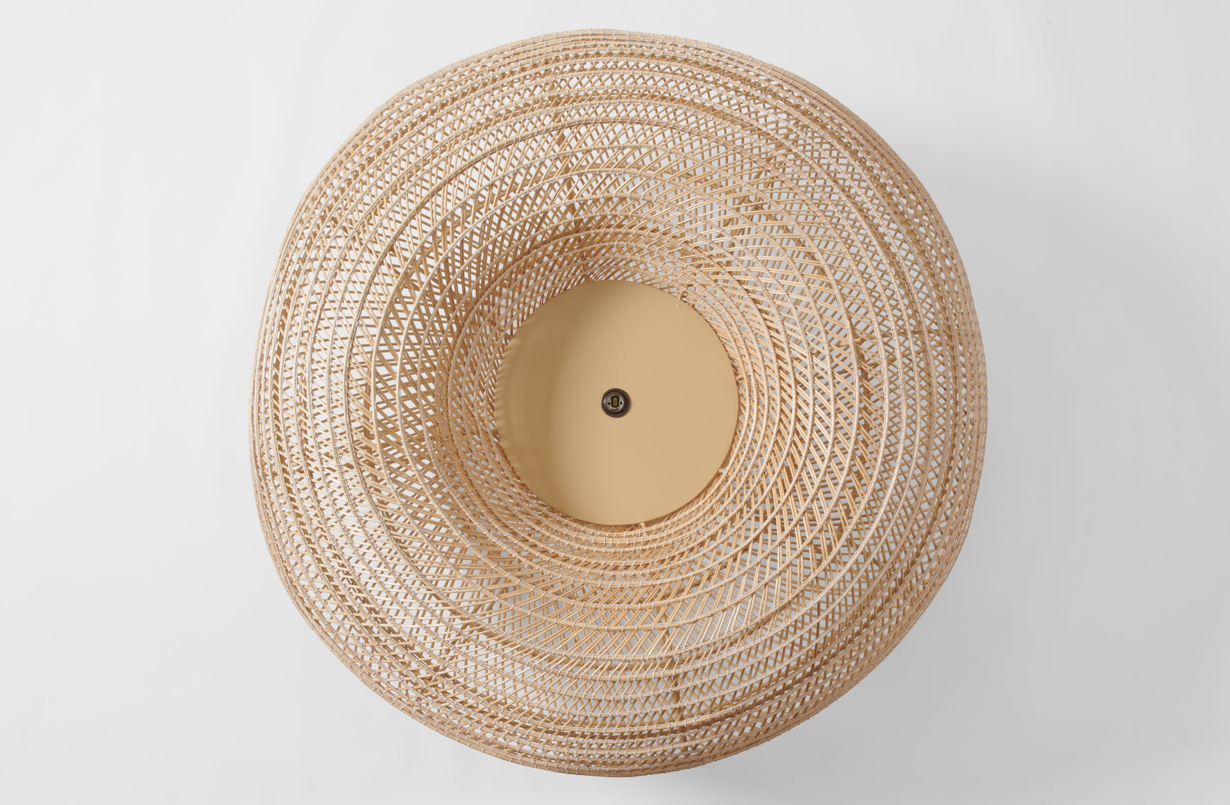 Studio AMOS Solas Willow Light