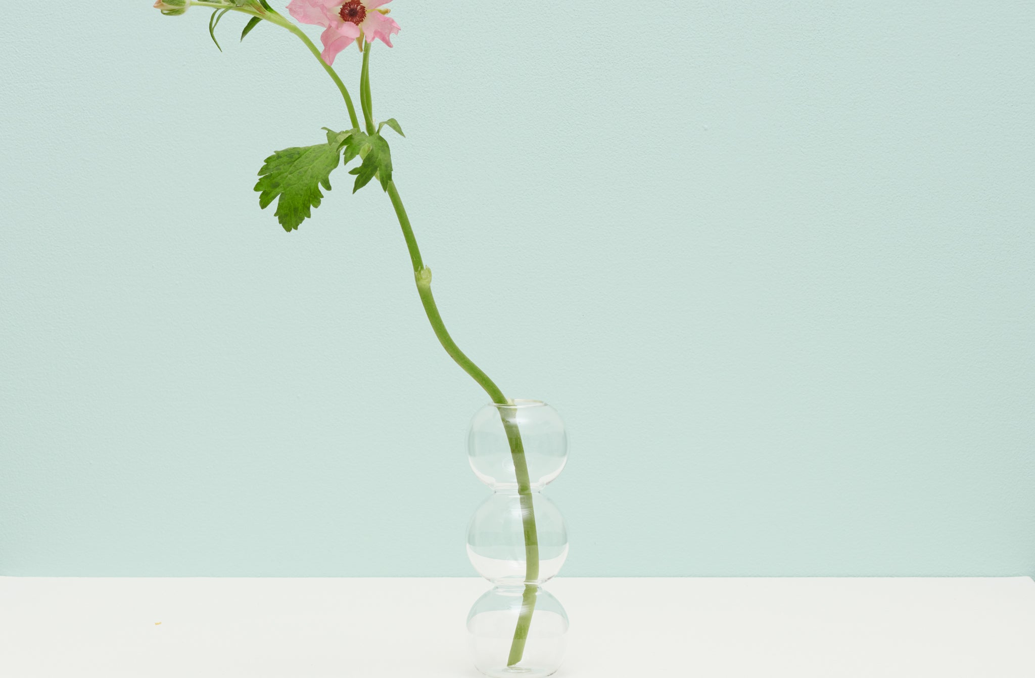Yali-medium-clear-bubble-vase-with-floral-against-pale-turquoise-background