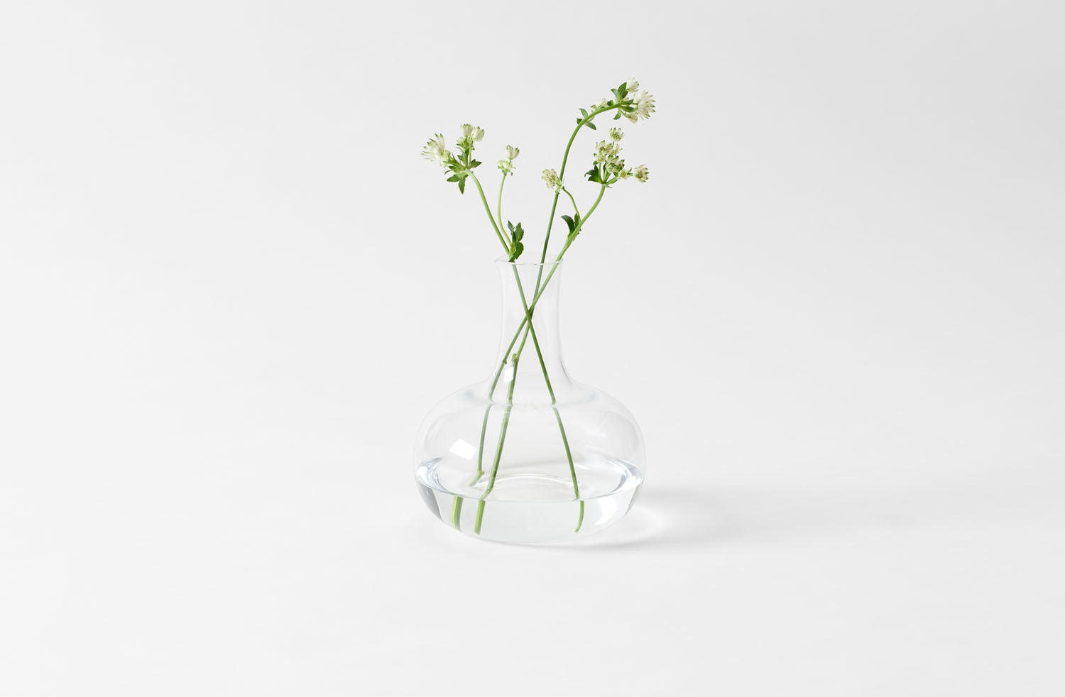 Lobmeyr Ilse Crawford Water Pitcher – MARCH