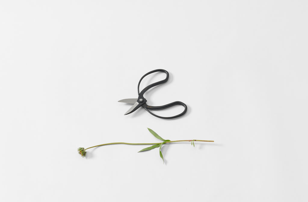 Sentei Garden Scissors