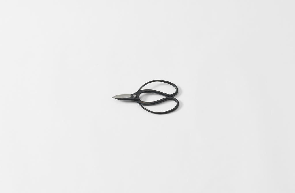 Sentei Garden Scissors