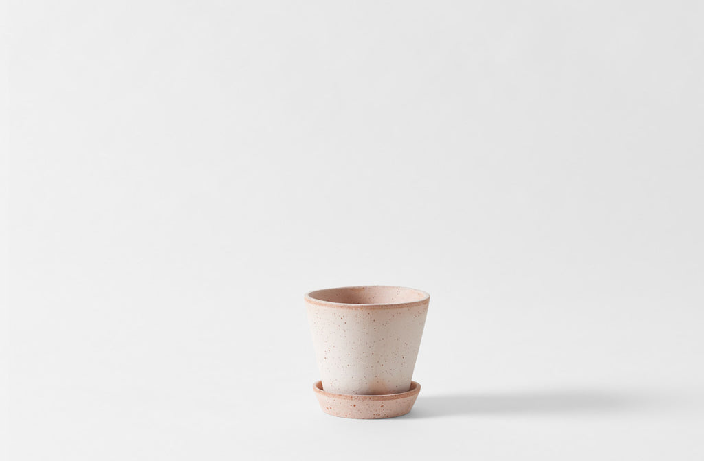 https://marchsf.com/cdn/shop/products/small-terracotta-herb-pot-saucer-18332-1_1024x.jpg?v=1700072105