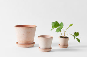 Small Terracotta Herb Pot and Saucer